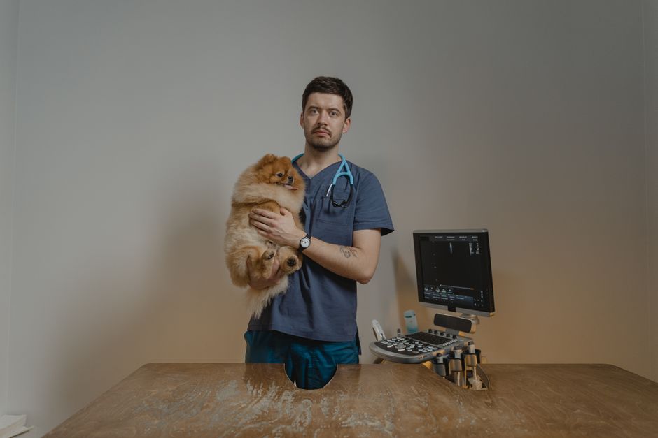 Veterinário consultando dados de clientes em tablet durante atendimento com animais